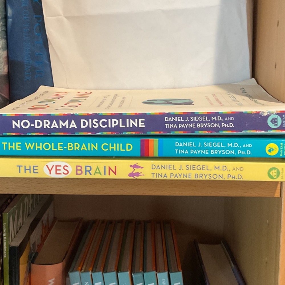 No-Drama Discipline and More Book Set